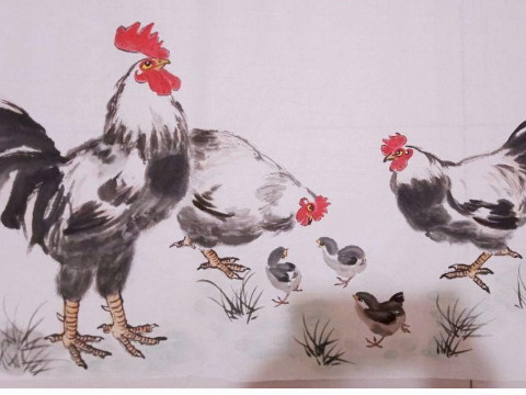 2021年2005年的鸡男多大了