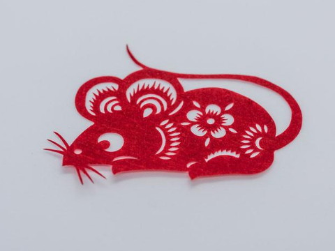 1996年属鼠人今年多大2021年