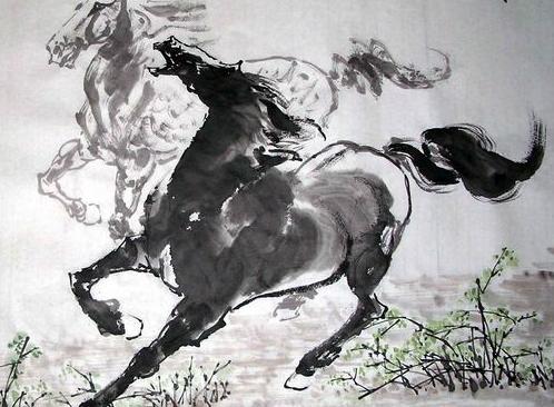 谁是马的最佳配偶