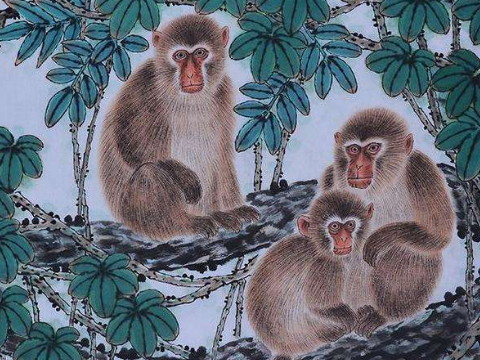 1992年和2021年猴子的幸运色是什么