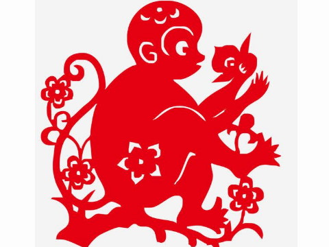 猴子出生的最佳时间是什么时候?猴子出生的最佳时间是什么时候?