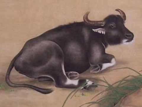 2021年最红火的生肖是什么