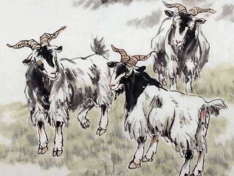 1979年和2021年羊的幸运色是什么