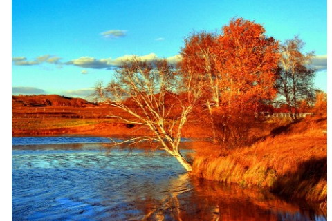 八字看谁的婚姻最不幸福