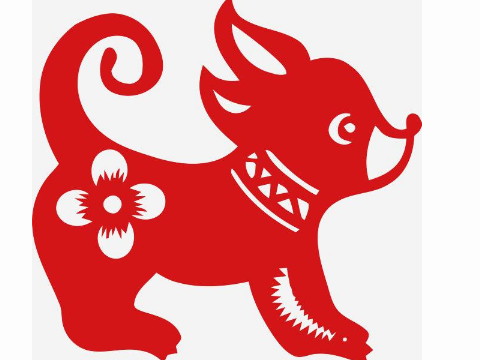 94年的公狗和96年的母老鼠匹配吗