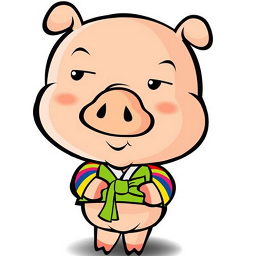 属猪的人出生时辰运势