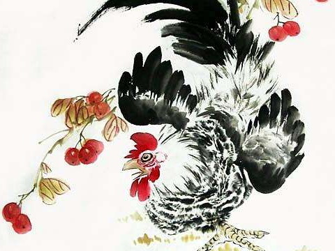 2021年2005年出生的鸡多大了