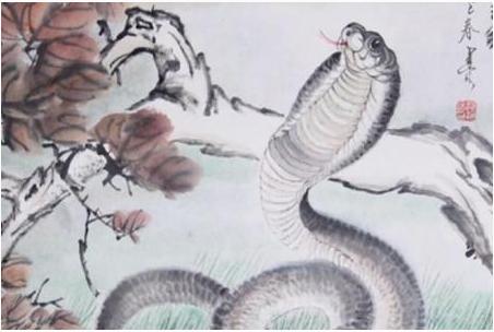 什么是蛇的好兆头