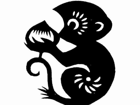 1980年，是猴子的终身婚姻。1980年，它是猴子最好的婚姻伴侣