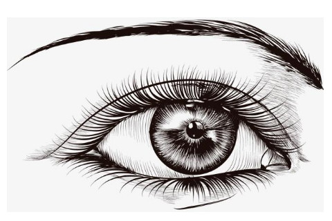 眉毛细长的男人的脸