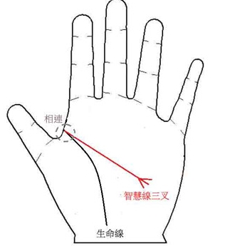 智慧线中间分叉是什么意思