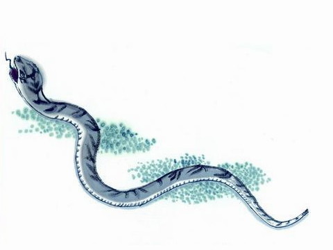 为蛇人赚钱的最好方法就是如何为蛇人赚钱