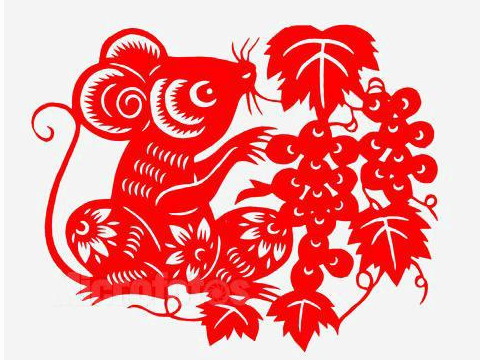 哪个行业最适合老鼠