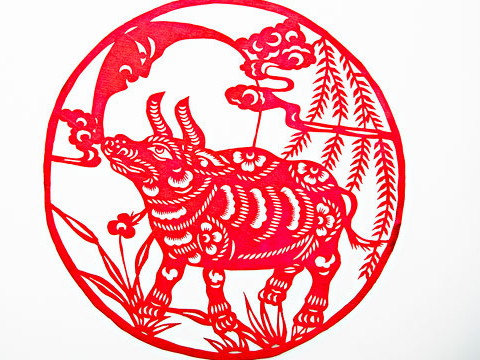 1997年的牛几岁结婚