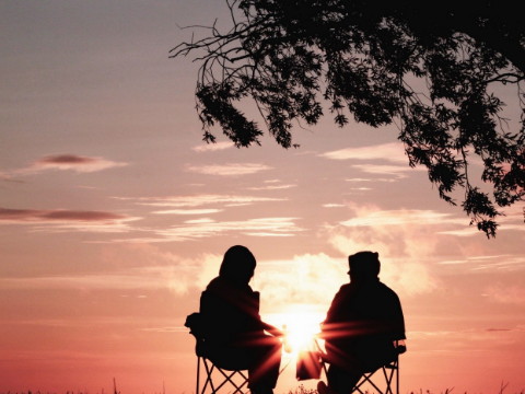 女猪男虎婚姻怎么样 属虎女和属虎男结婚好不好