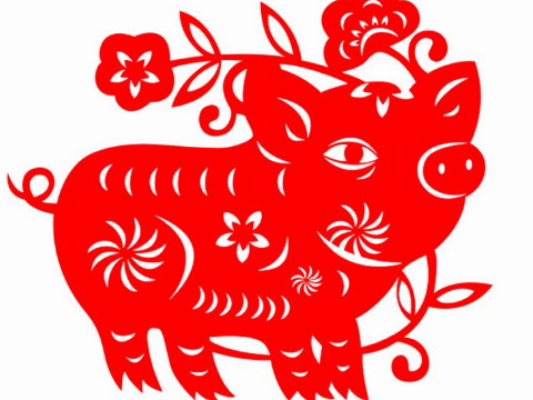 属猪的人最怕什么生肖