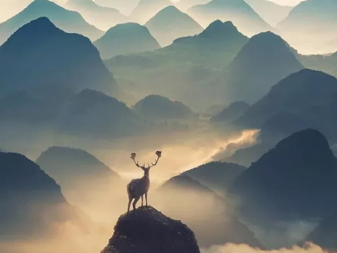 大易图明是否与天堂生命之火的婚姻相匹配