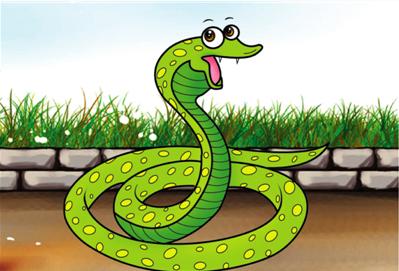 生肖蛇配对百科全书