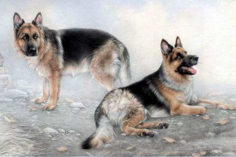 婚后最痛苦的妻子是生肖男