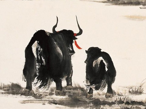 2021年农历出生的牛人运气好