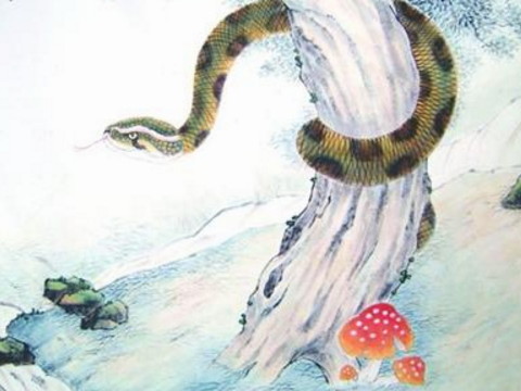 31岁应该注意什么