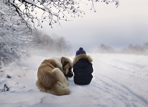 五行中缺火的羊宝宝的名字