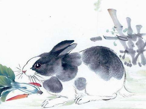 1987年和2021年兔子的幸运色是什么