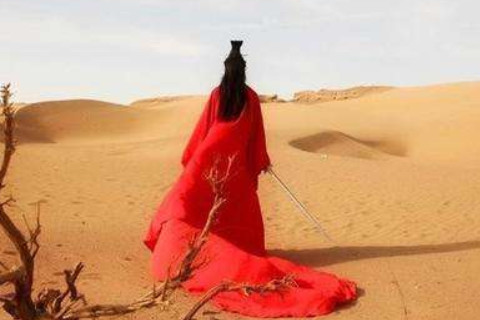 兔子养摇钱树有什么问题