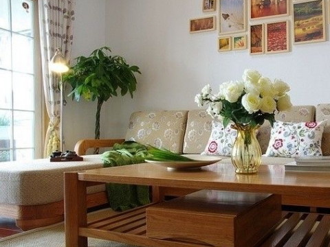 家居风水植物禁忌