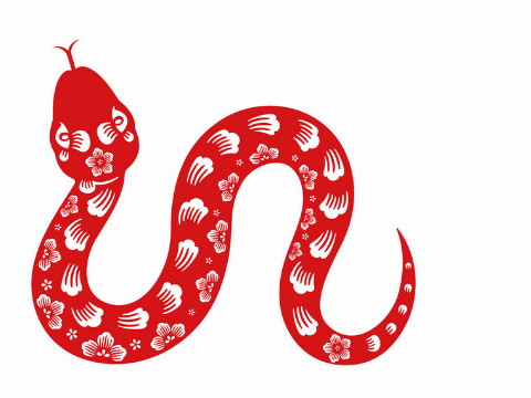 1989年属蛇最佳配偶