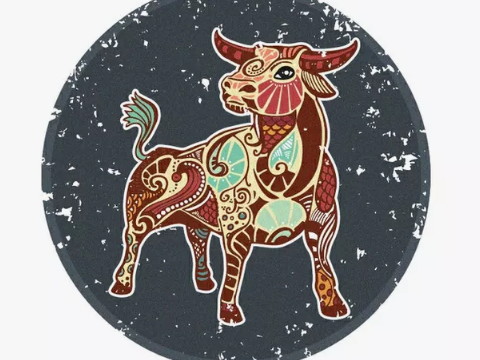 金牛座在2021年穿什么代表幸运