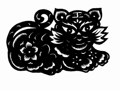 2022年属虎几月命苦 2022年属虎几月出生不好