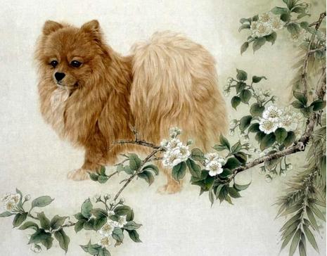 生肖狗是相容的