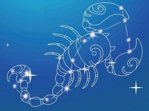 天蝎座女生在恋爱中的表现