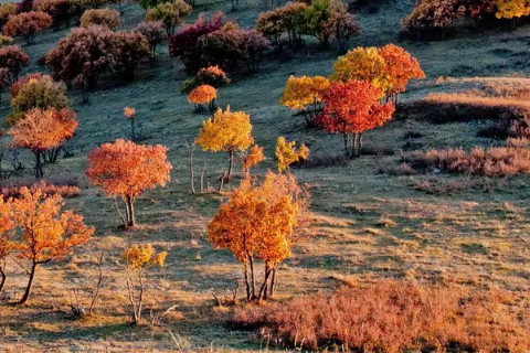 八字看哪个女生会嫁给有钱人