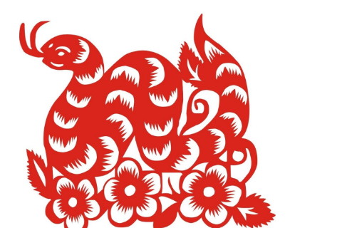 以2020年的幸运生肖为例