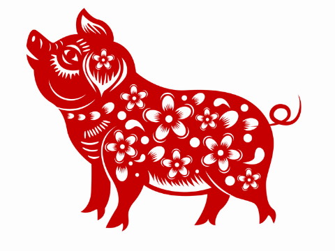 属猪的出生年月 属猪人几月出生命不好