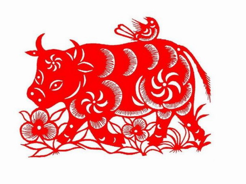 2021年出生的人生活是怎样的？2021年的生肖是什么