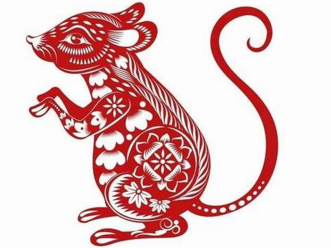 谁是1996年属鼠的最佳匹配