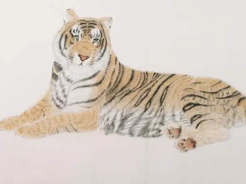 1962年和2021年老虎的幸运色是什么