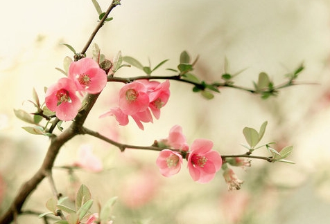 强大的QQ网名集