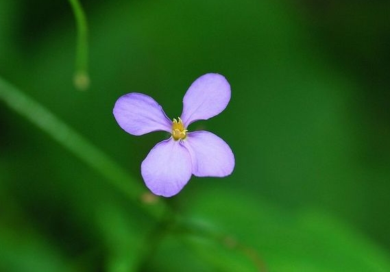 好看的古董QQ网名