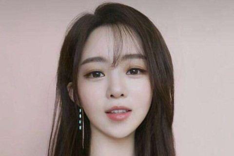 生肖鼠养什么宠物好