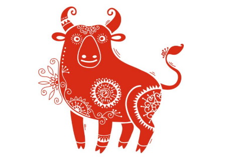 2019年破财的生肖