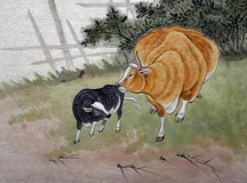 牛应该配什么标志