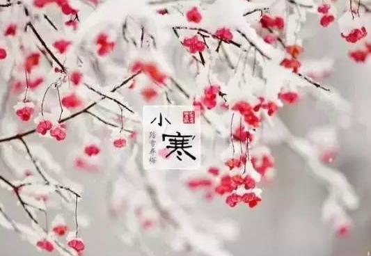 小寒节气知识