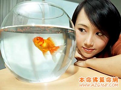 办公室鱼缸风水全解