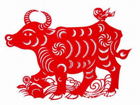 牛和猪合得来吗