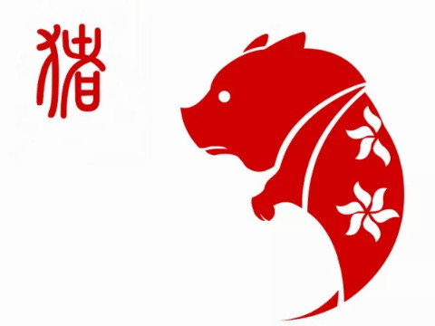 属猪女生喜欢的男人类型