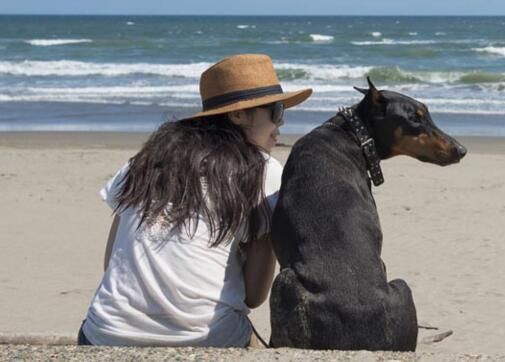 阳历8月6日是什么星座